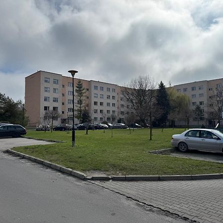 Studio Centrum 2 Chełm Kültér fotó